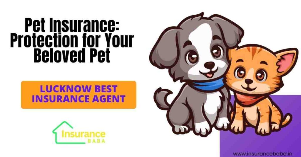 This image is about Pet Insurance: Protection for Your Beloved Pet