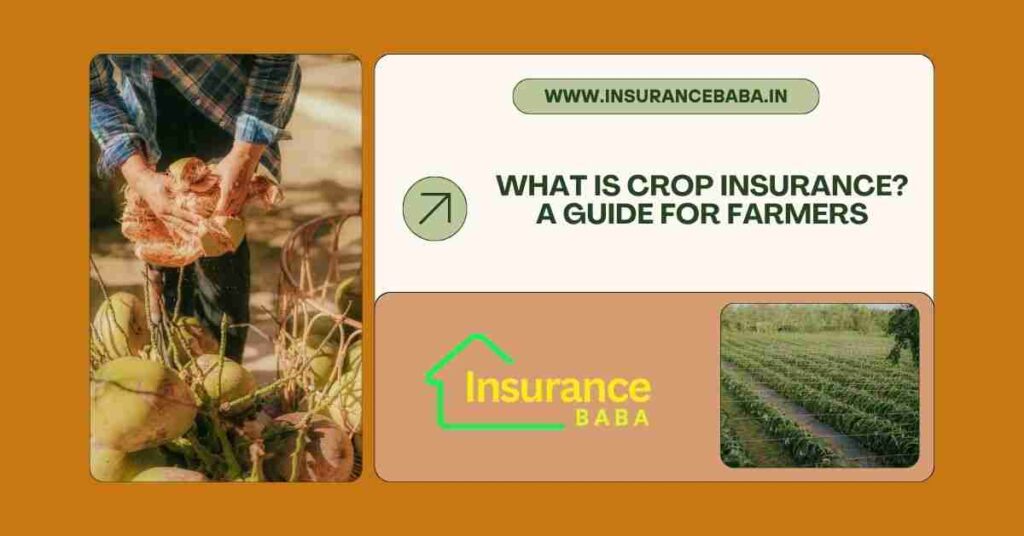 This image is about What is Crop Insurance? A Guide for Farmers